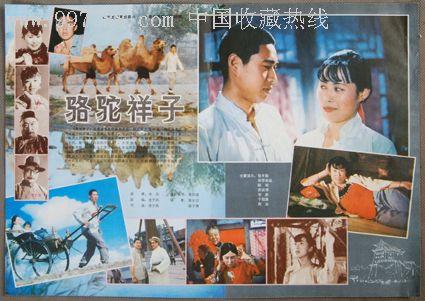 巴克内尔大学 Diploma